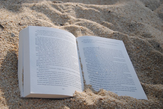 Un libro semienterrado en la arena de la playa.